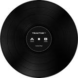 Native Instruments Traktor Control Vinyl